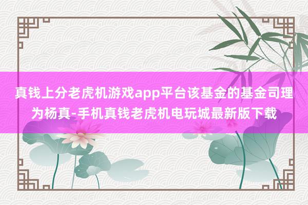 真钱上分老虎机游戏app平台该基金的基金司理为杨真-手机真钱老虎机电玩城最新版下载