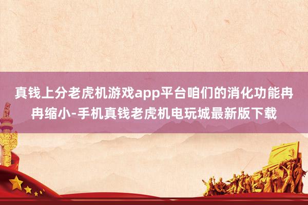 真钱上分老虎机游戏app平台咱们的消化功能冉冉缩小-手机真钱老虎机电玩城最新版下载